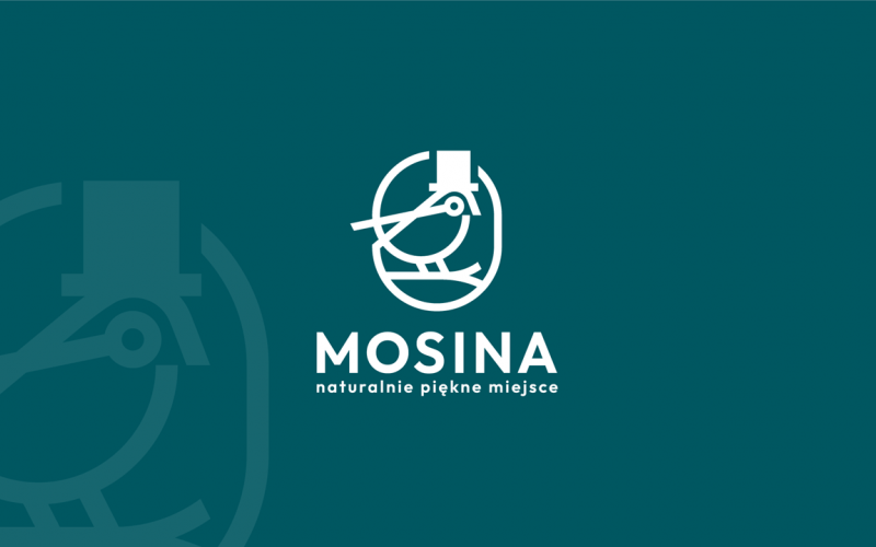 Case Study Gminy Mosina